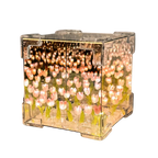 Espelho de tulípas🌷