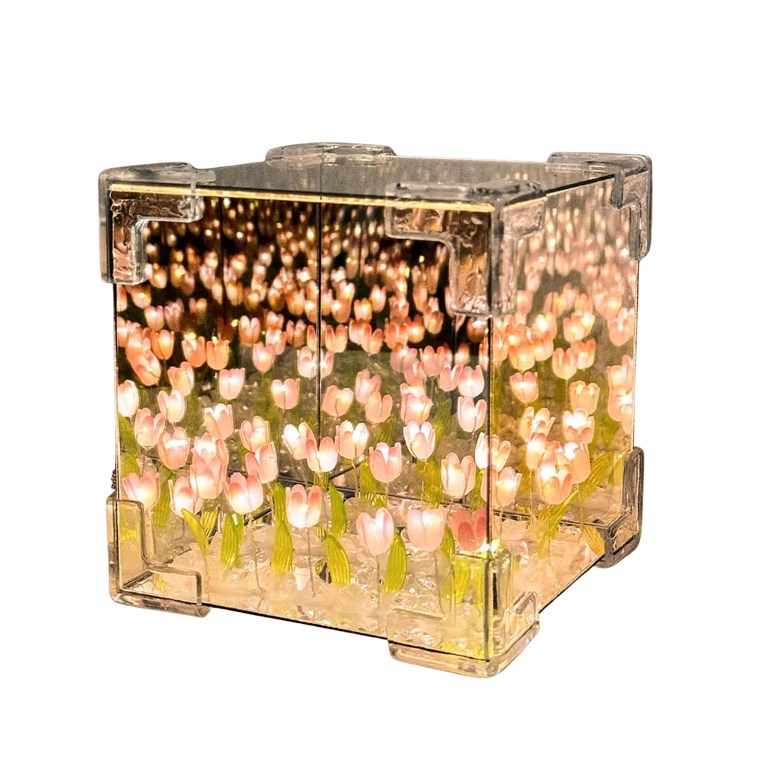 Espelho de tulípas🌷